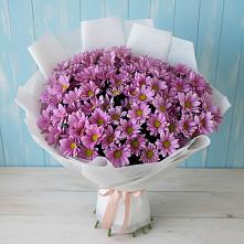 Букет цветов из:  Хризантемы в Красноборске