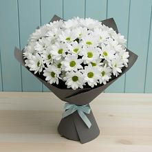 Букет цветов из:  Хризантемы #REPLACE_PRED# Красноборске