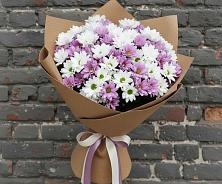 Букет цветов из:  Хризантемы #REPLACE_PRED# Красноборске