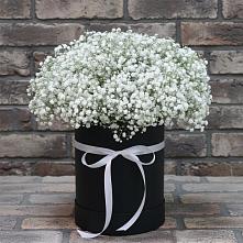 Цветочная композиция из Гипсофила в шляпной коробке в Красноборске