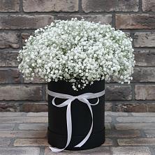 Цветочная композиция из Гипсофила в шляпной коробке в Красноборске
