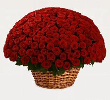 Премиум букет из: Розы в Красноборске